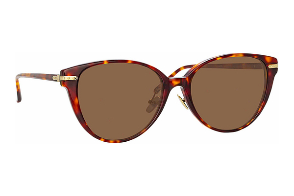 solbrille Linda Farrow LF26 C8