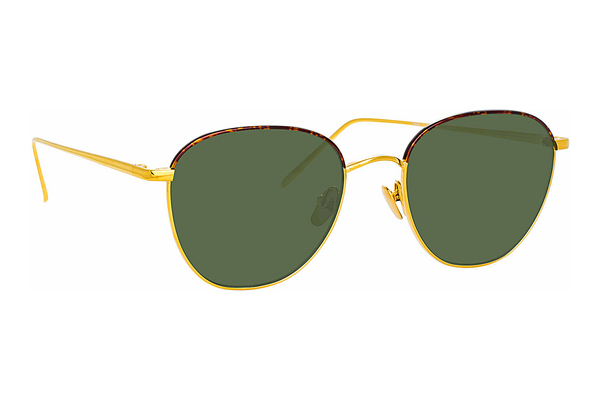 solbrille Linda Farrow LFL819 C19