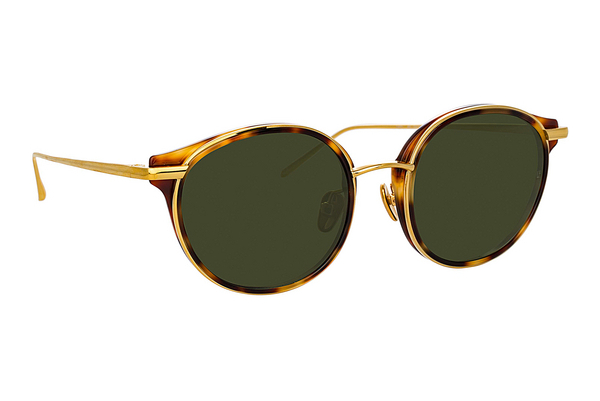 solbrille Linda Farrow LFL911 C2