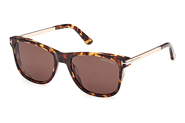 solbrille Tom Ford Sinatra (FT1104 52E)