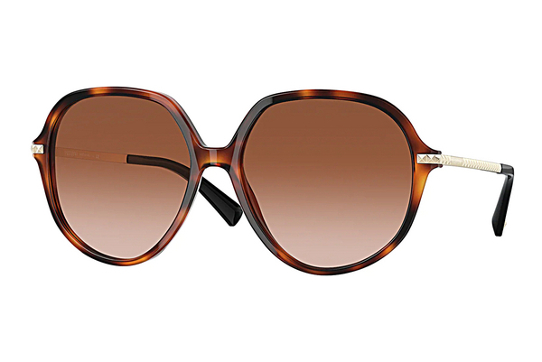 solbrille Valentino VA4099 501113