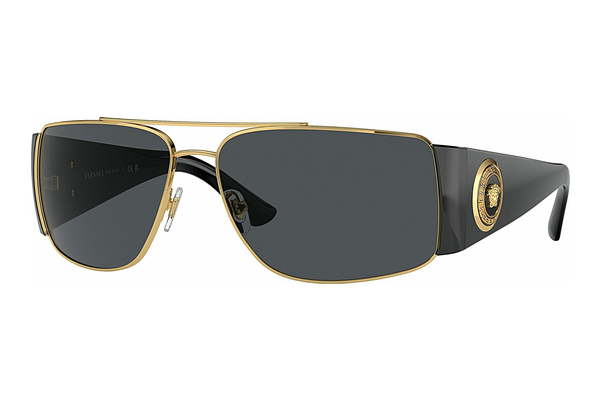 solbrille Versace VE2163 100287