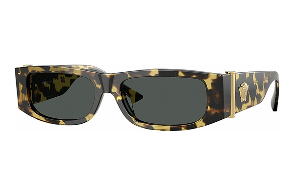 solbrille Versace VE4476U 777/87